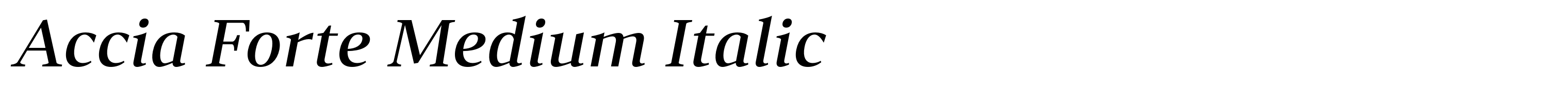 Accia Forte Medium Italic